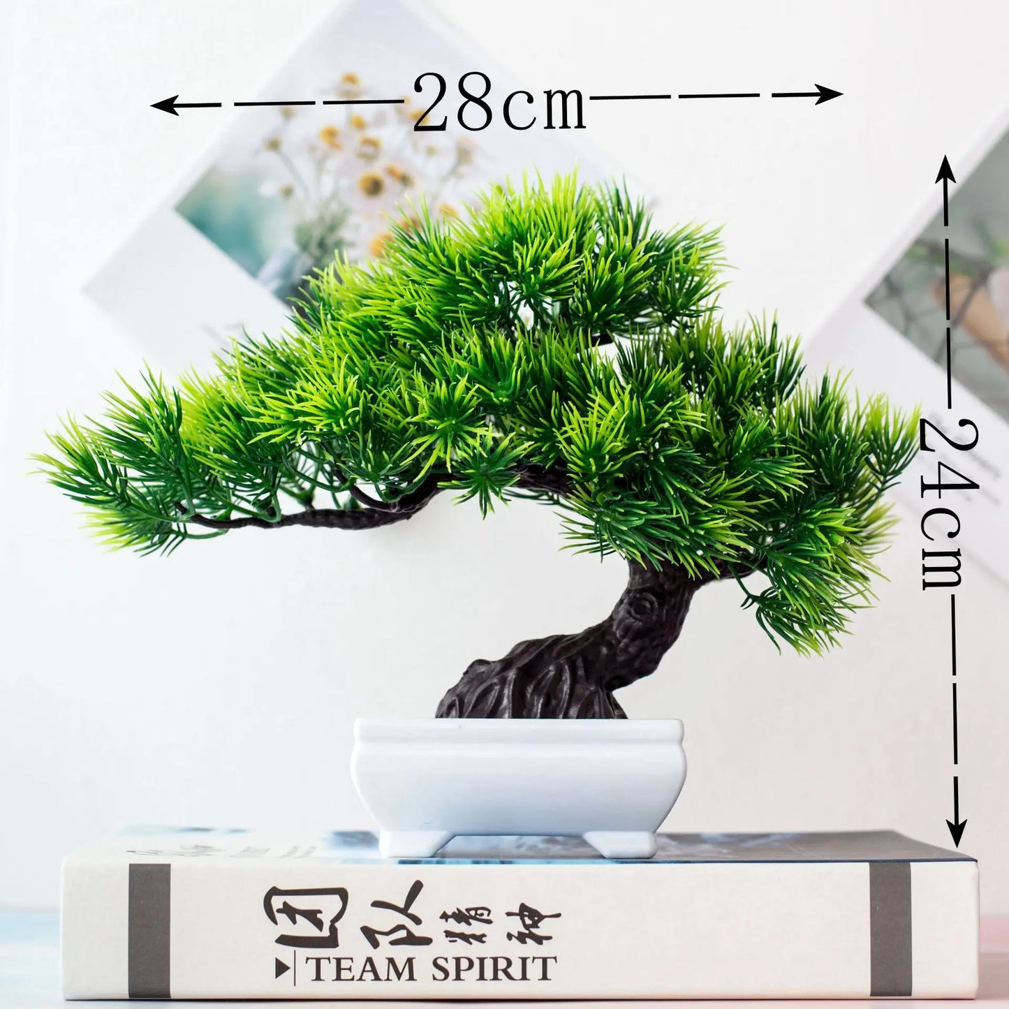 Kleine Bonsai-Pflanzen im Topf