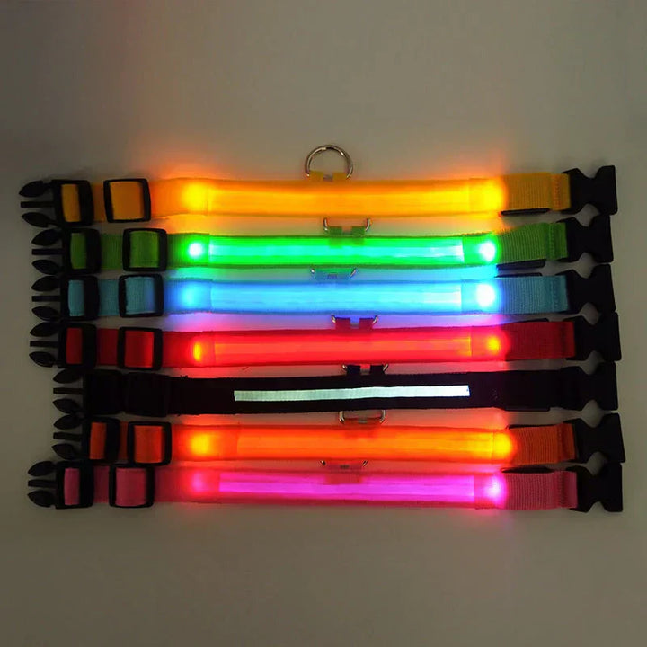 GlowPets LED-Halsband – Sicherheit und Sichtbarkeit für Haustiere