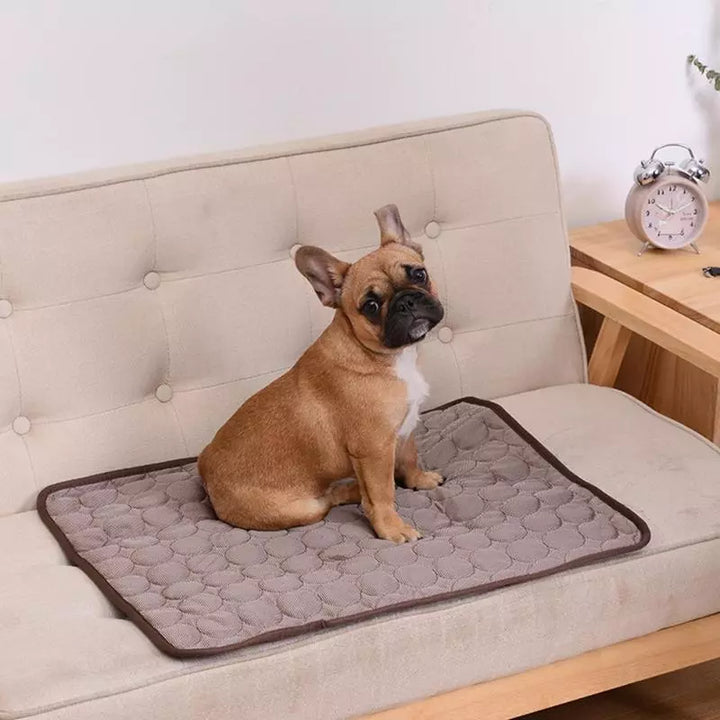 Sommer kühlende Hundematte: Atmungsaktive Matte für Hunde und Katzen - Waschbare Haustierdecke für kleine, mittlere und große Hunde, ideal für Autos | Karnz