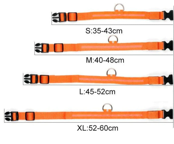 GlowPets LED-Halsband – Sicherheit und Sichtbarkeit für Haustiere