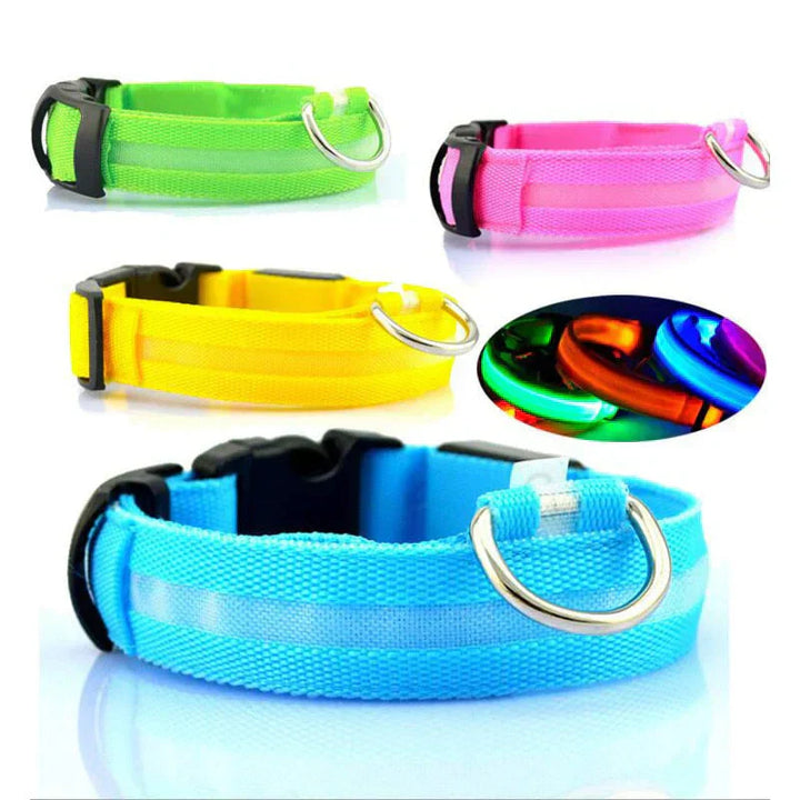 GlowPets LED-Halsband – Sicherheit und Sichtbarkeit für Haustiere