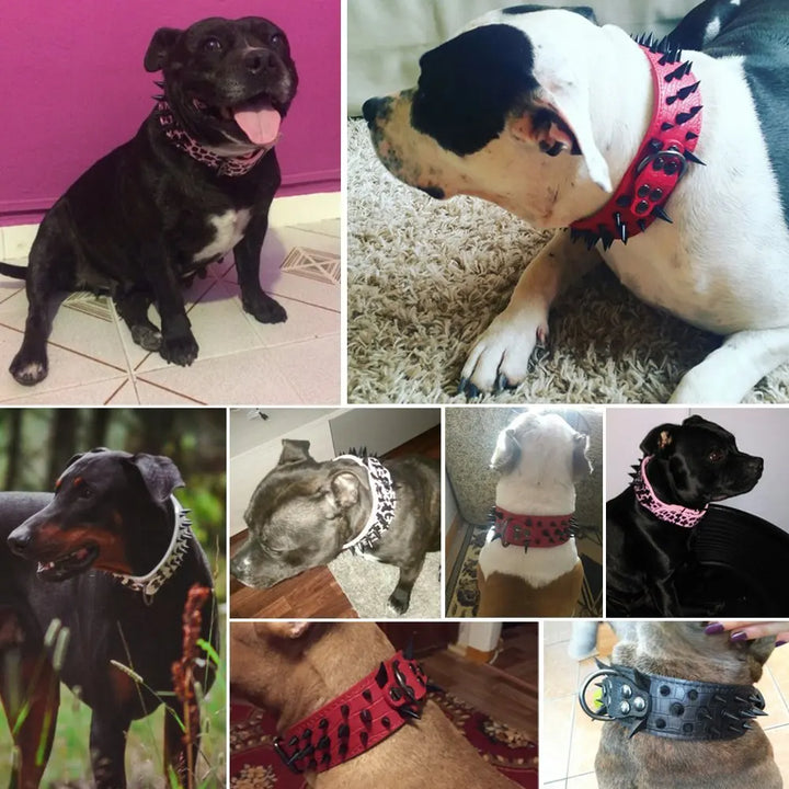 Hundehalsband mit Nieten für große Hunde Karnz