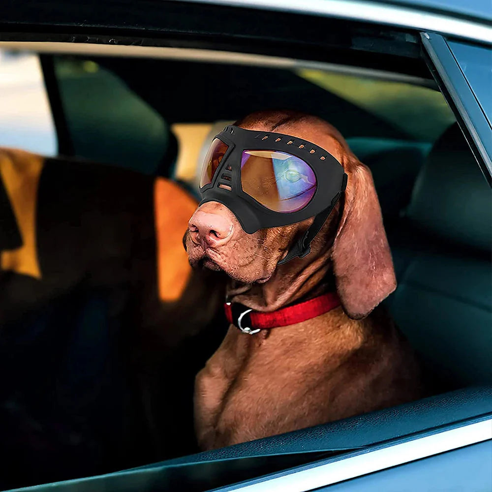 Karnz Shadow Dog Brille