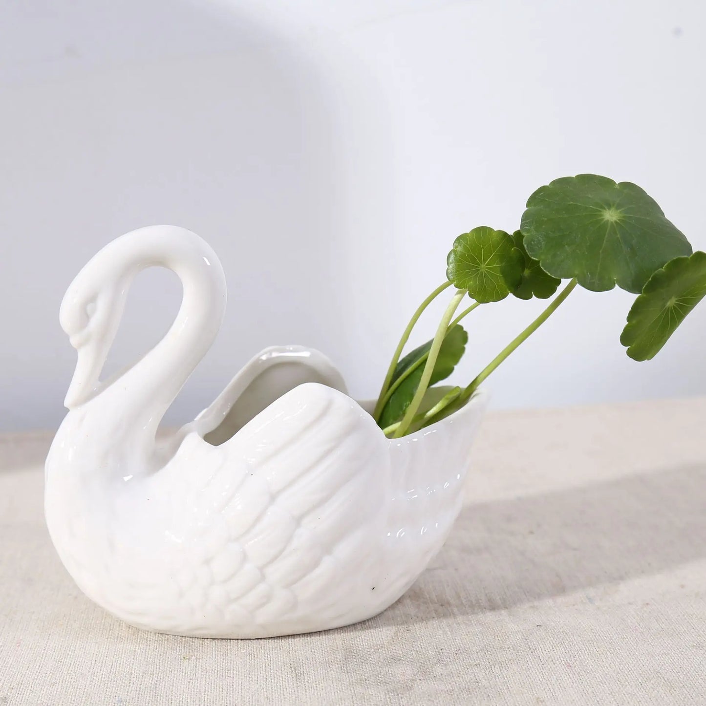 Swan Minimalistische Keramiktopf