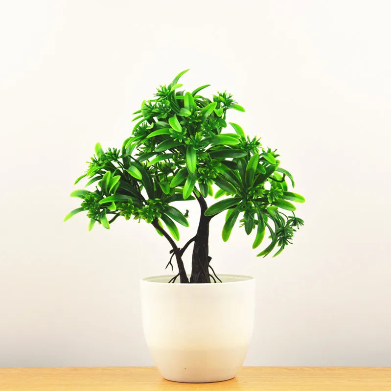 Kleine Bonsai-Pflanzen im Topf