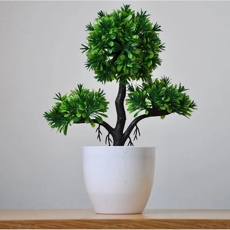 Kleine Bonsai-Pflanzen im Topf