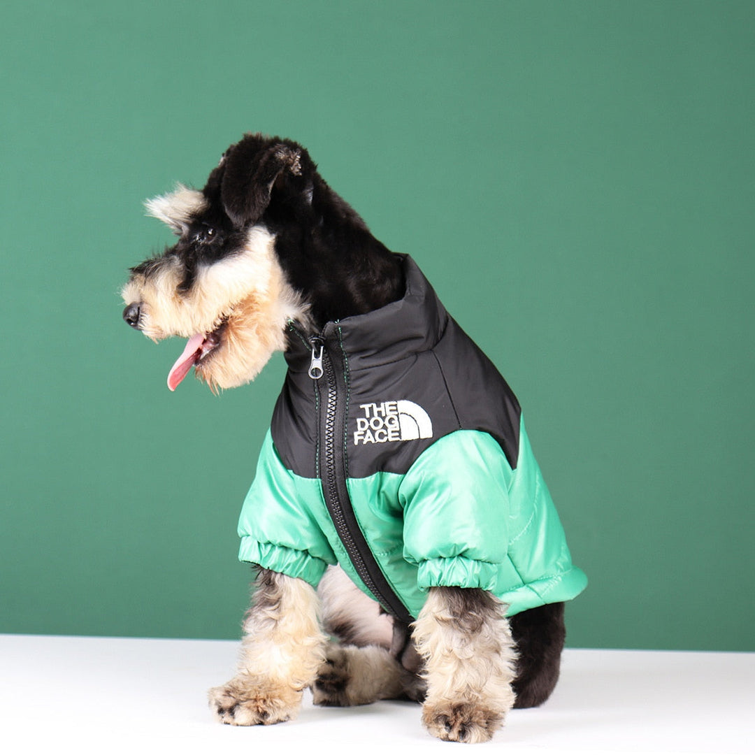 Sandsberg | Hunde-Winterjacke | Gefüttert und Winddicht