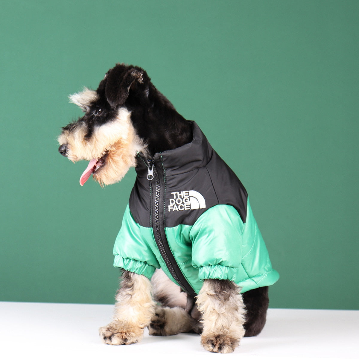 Sandsberg | Hunde-Winterjacke | Gefüttert und Winddicht
