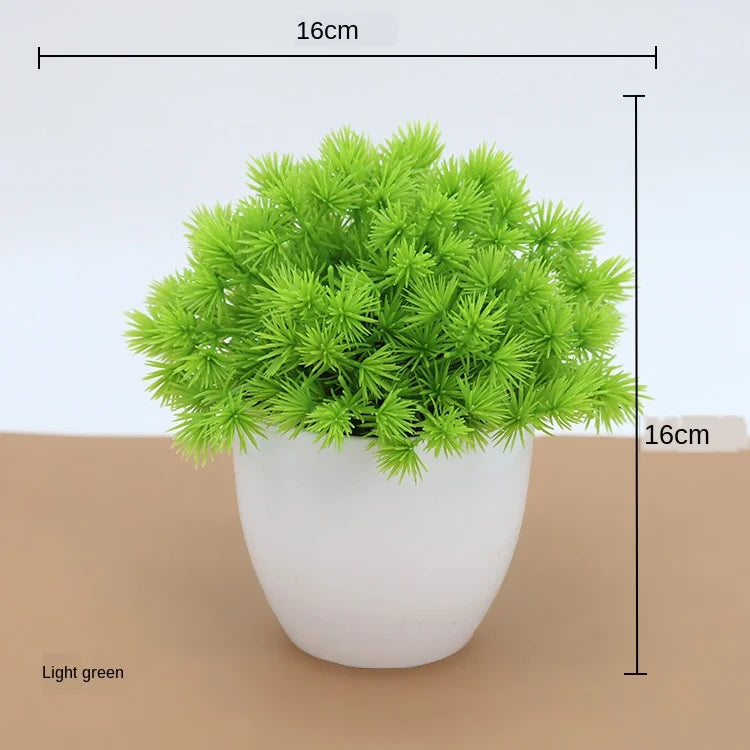 Kleine Bonsai-Pflanzen im Topf