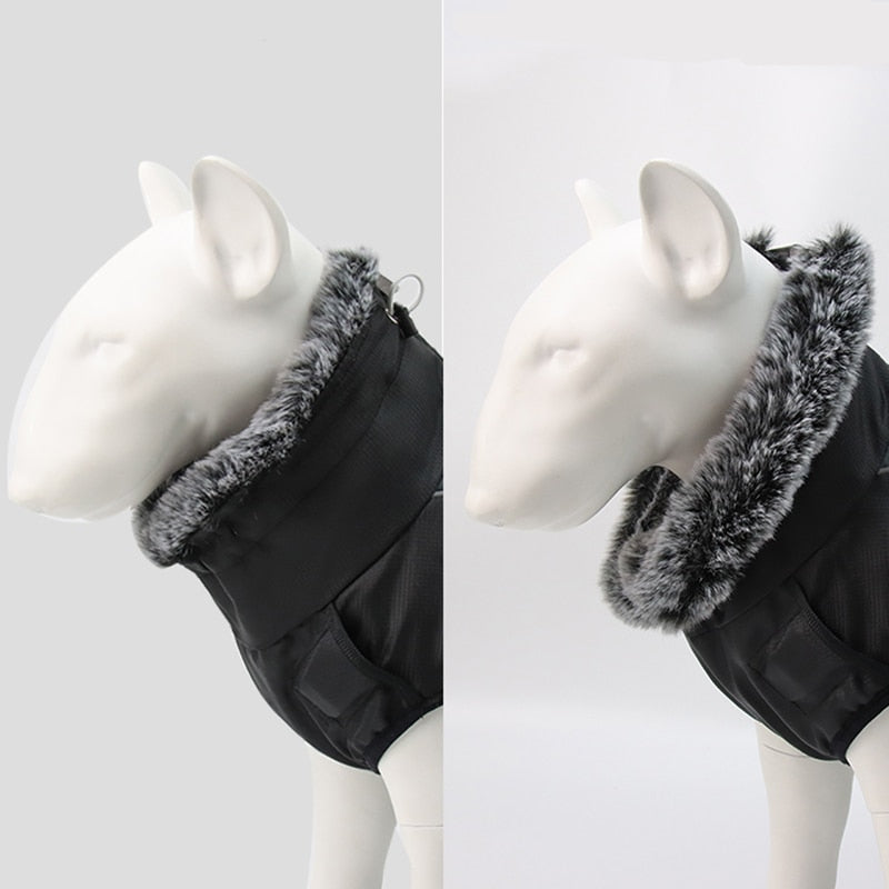 Karnz | Wasserdichte Winterhundejacken