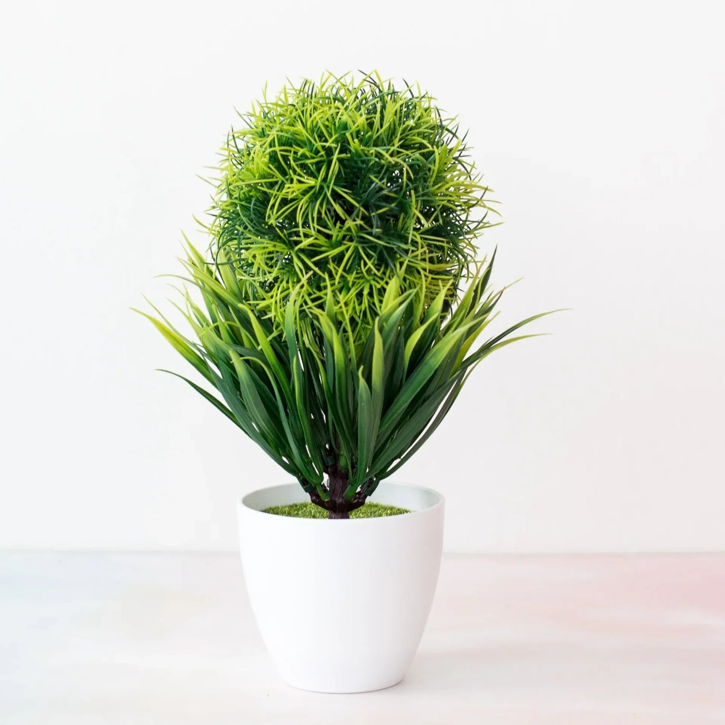 Kleine Bonsai-Pflanzen im Topf