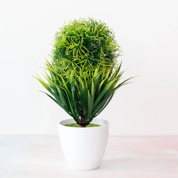 Kleine Bonsai-Pflanzen im Topf
