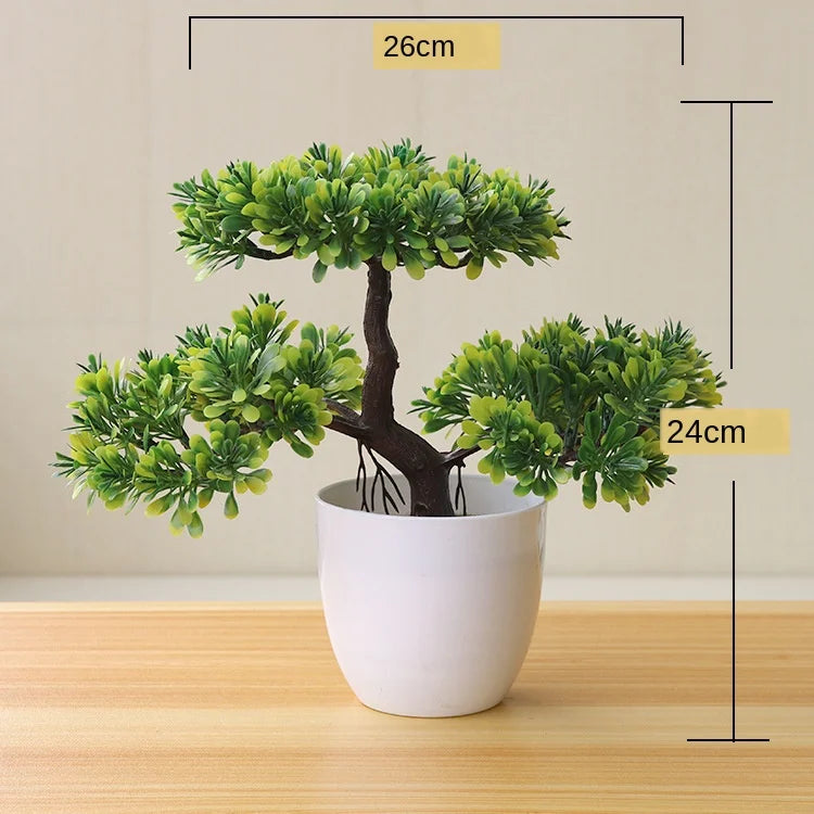 Kleine Bonsai-Pflanzen im Topf