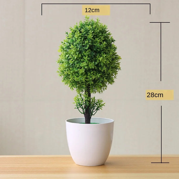 Kleine Bonsai-Pflanzen im Topf