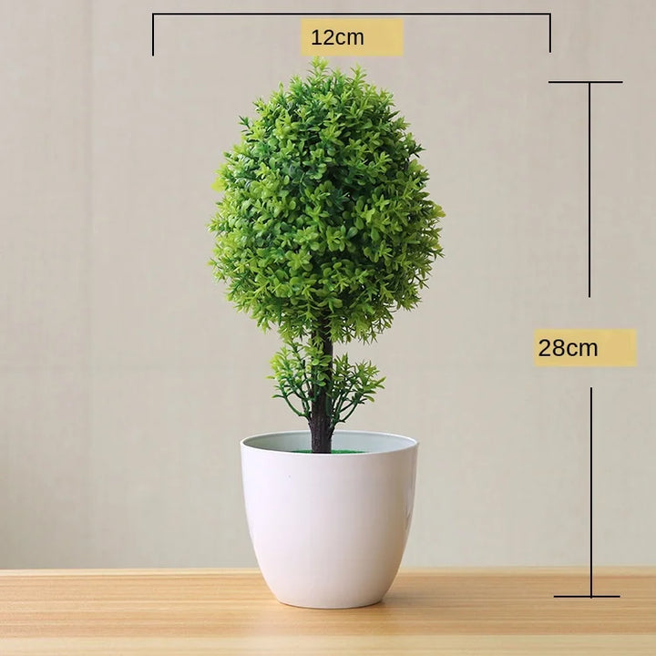 Kleine Bonsai-Pflanzen im Topf