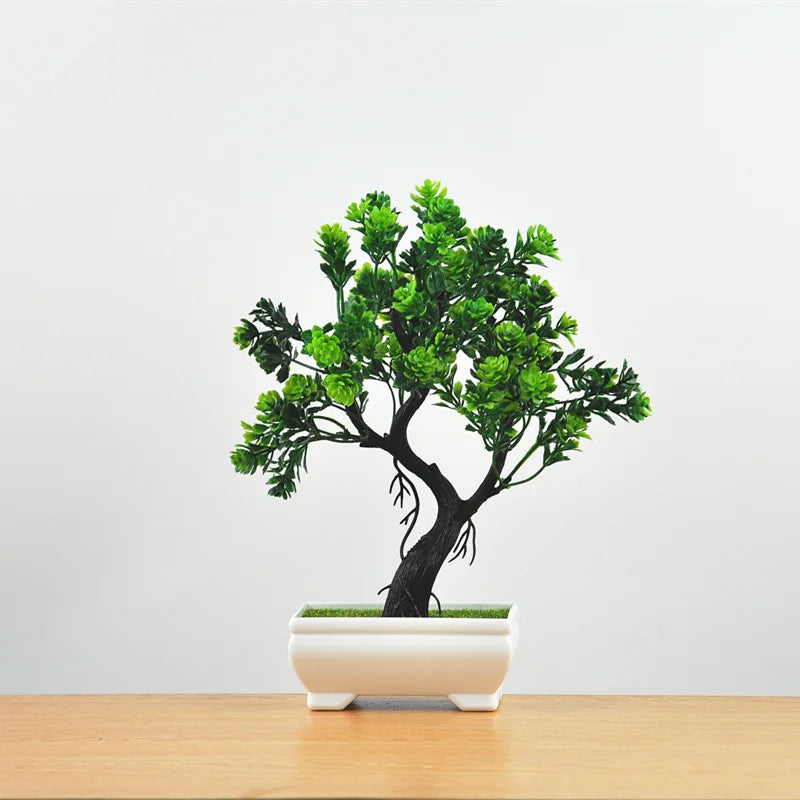 Kleine Bonsai-Pflanzen im Topf