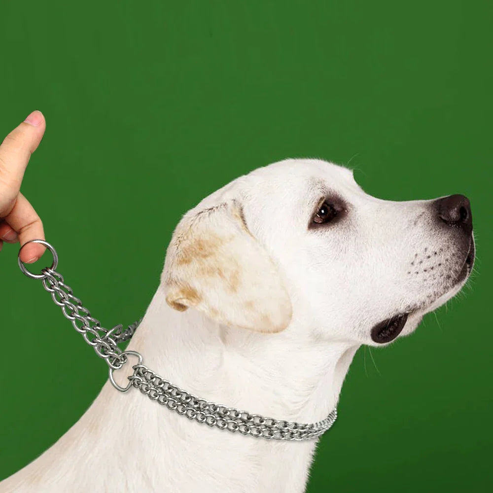 Sandsberg Edelstahl Hundetraining-Halskette
