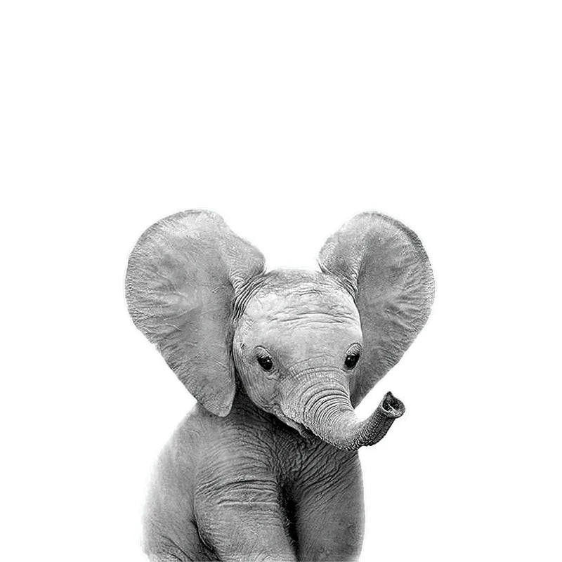 Baby Süße Tiere Wandaufkleber Für das Kinderzimmer Abnehmbar Peel and Stick Vinyl Wandtattoos Für das Zimmer des Babys Kreative DIY Wanddekoration | Karnz
