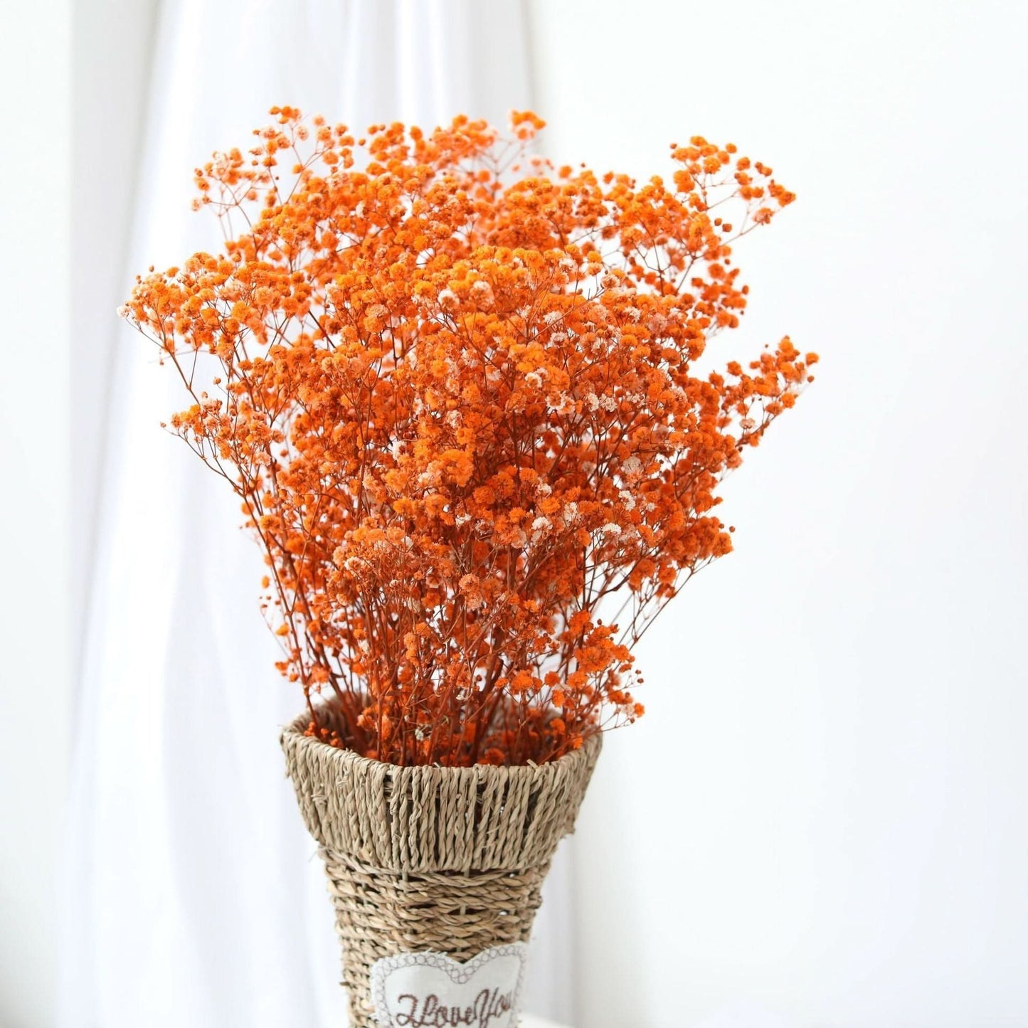 Getrockneter, konservierter Schleierkraut-Blumenstrauß – Natürliche Dekoration