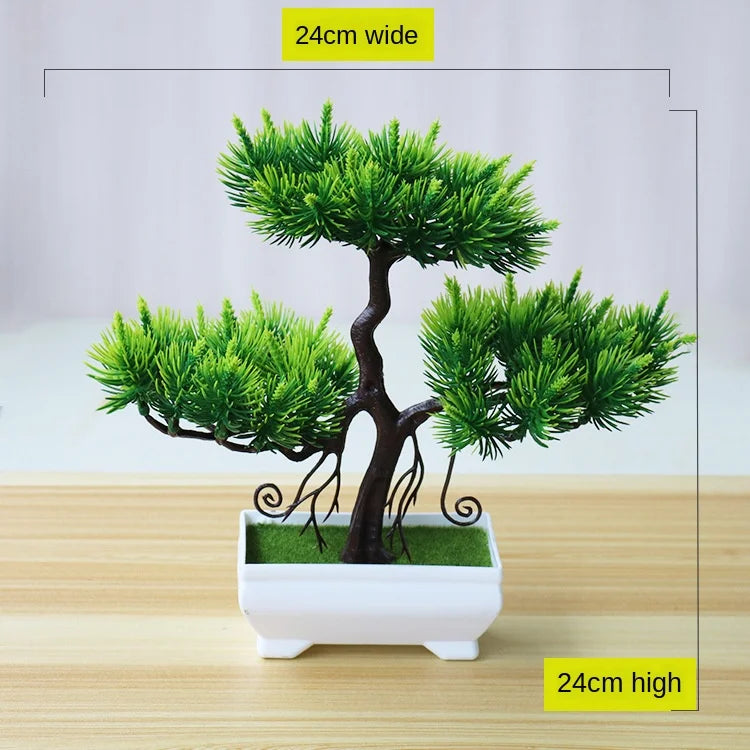 Kleine Bonsai-Pflanzen im Topf