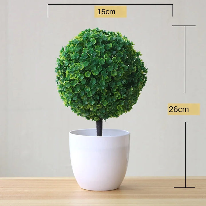 Kleine Bonsai-Pflanzen im Topf