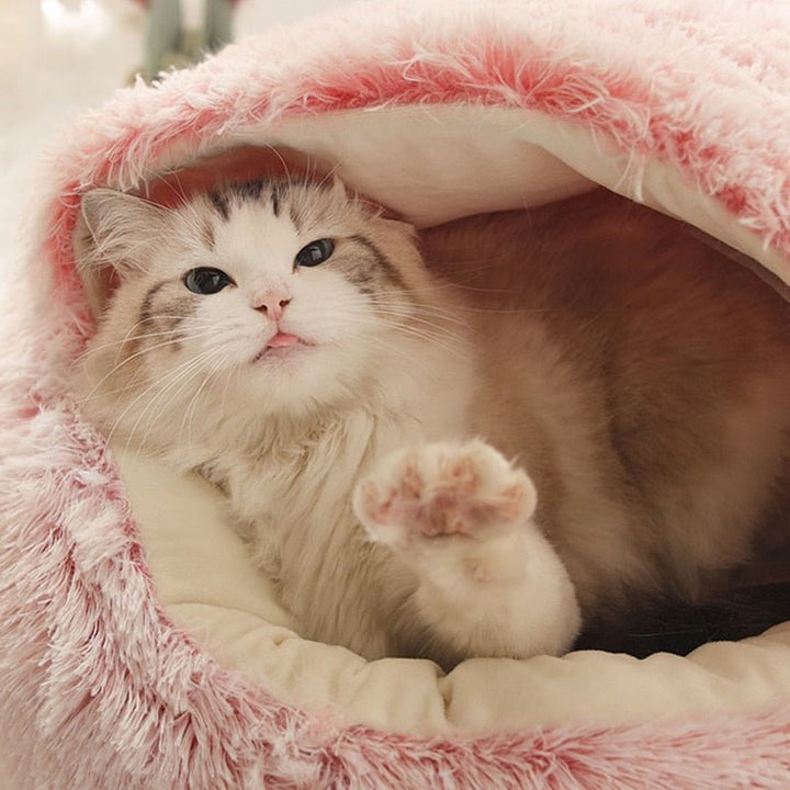KittyCove Ultimativer Komfort für Ihre Katze | Karnz