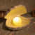 Chelly Chic Shell Lampe | Eine magische Lampe mit einer Perle | Karnz