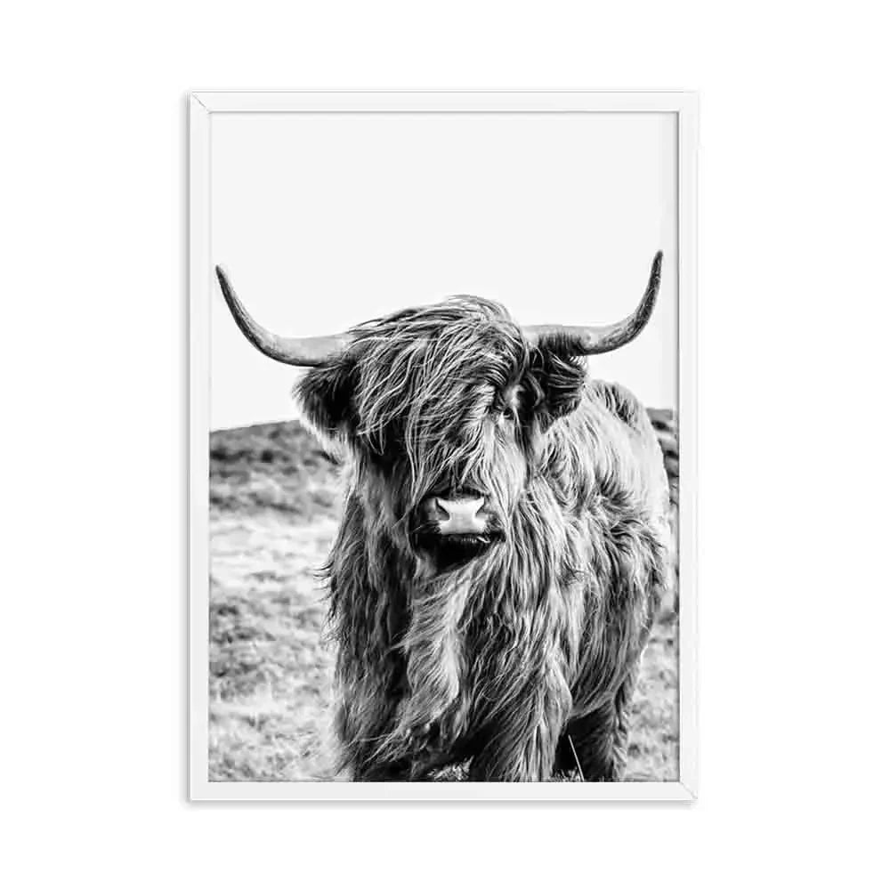Hochlandrinder Schwarz Weiß Minimalistische Wandkunst Fine Art Leinwanddrucke Poster Bilder Für Wohnzimmer Esszimmer Nordische Wohnkultur