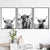 Hochlandrinder Schwarz Weiß Minimalistische Wandkunst Fine Art Leinwanddrucke Poster Bilder Für Wohnzimmer Esszimmer Nordische Wohnkultur