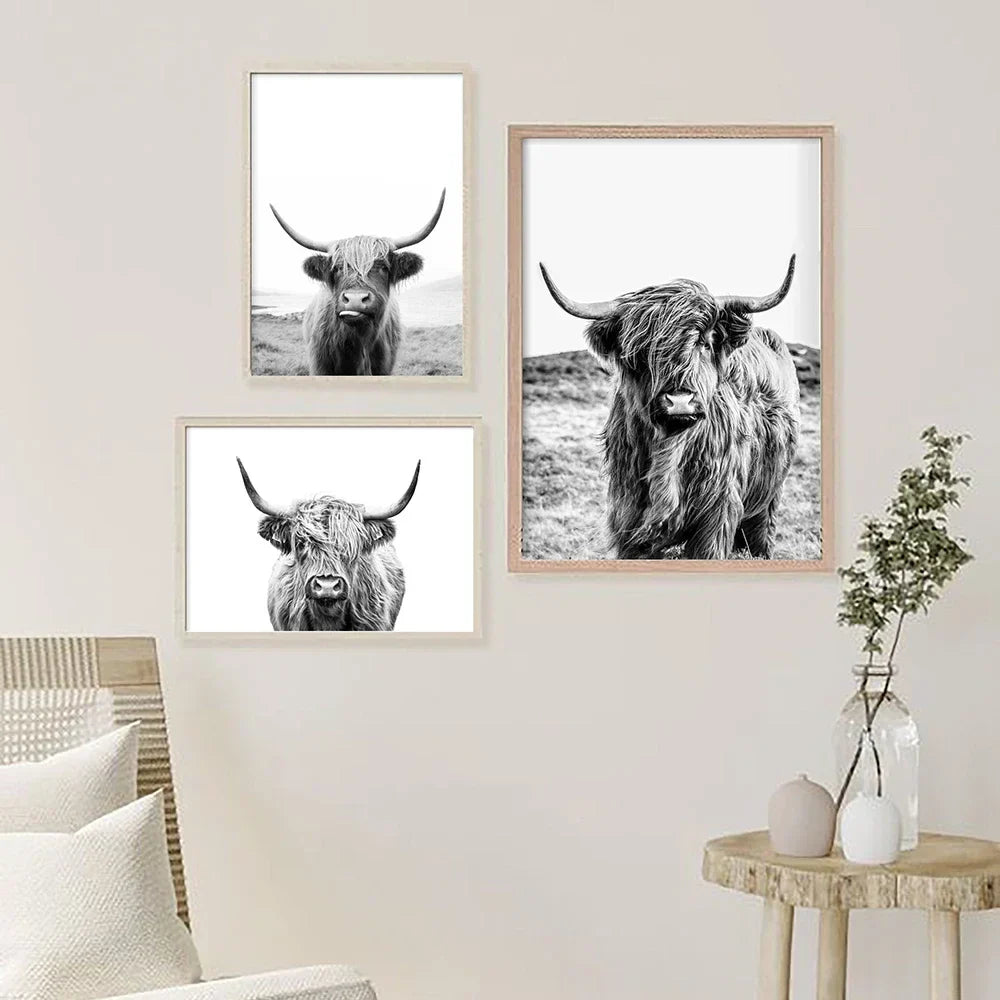 Hochlandrinder Schwarz Weiß Minimalistische Wandkunst Fine Art Leinwanddrucke Poster Bilder Für Wohnzimmer Esszimmer Nordische Wohnkultur