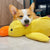 Beruhigender Enten für Hunde