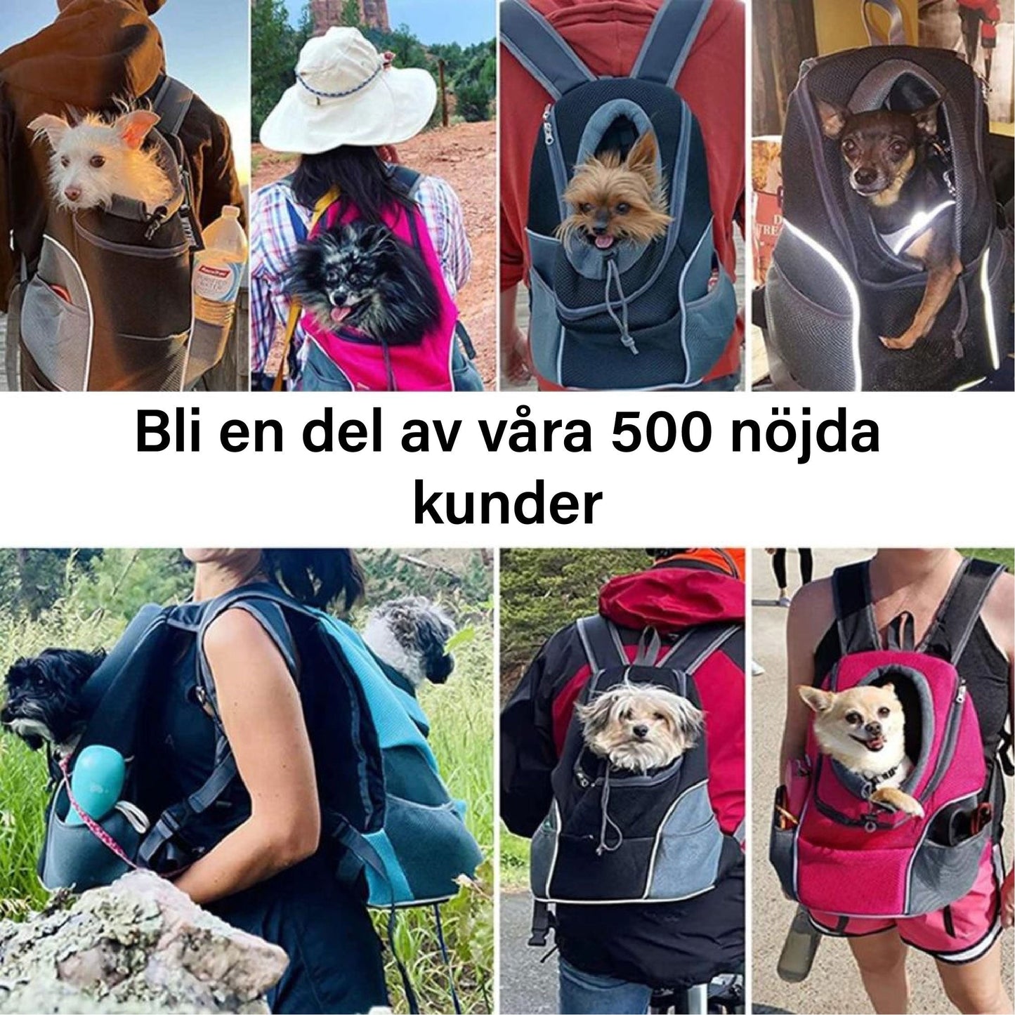 Karnz | PawCarry – Gemeinsam überall unterwegs