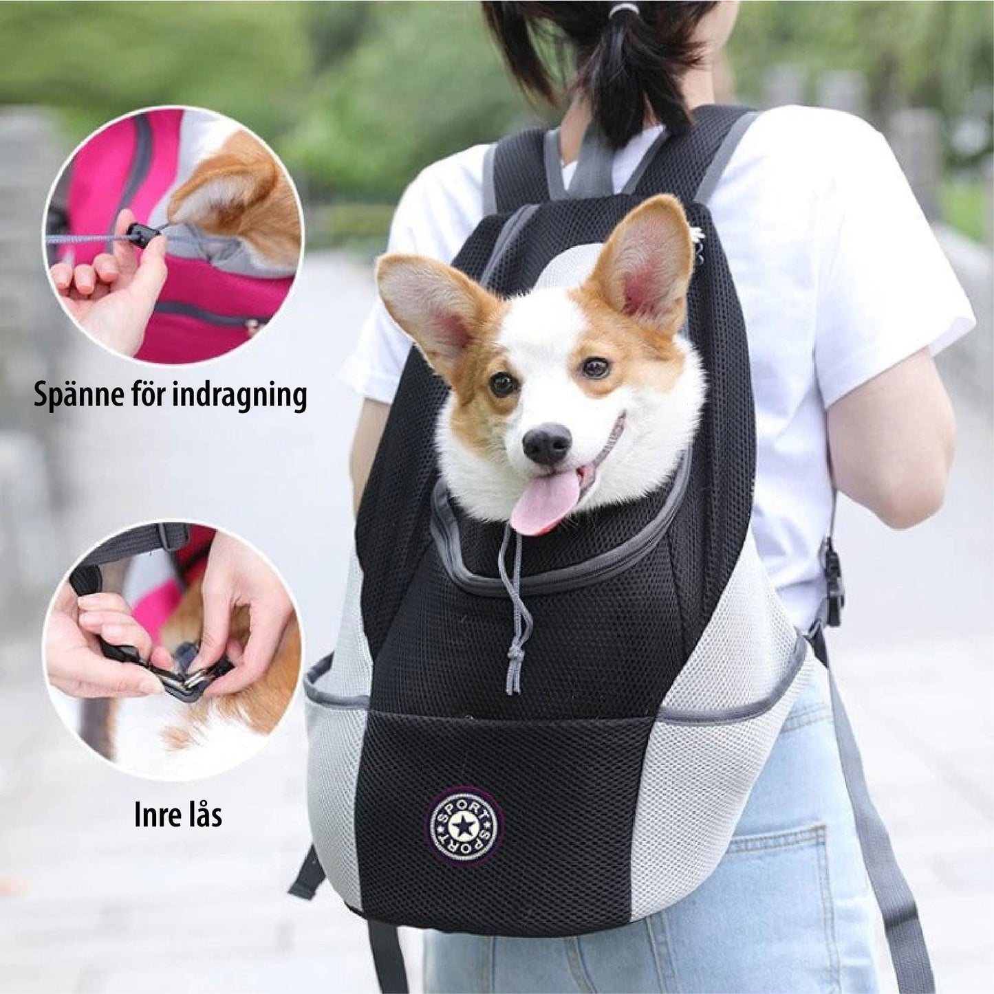 Karnz | PawCarry – Gemeinsam überall unterwegs