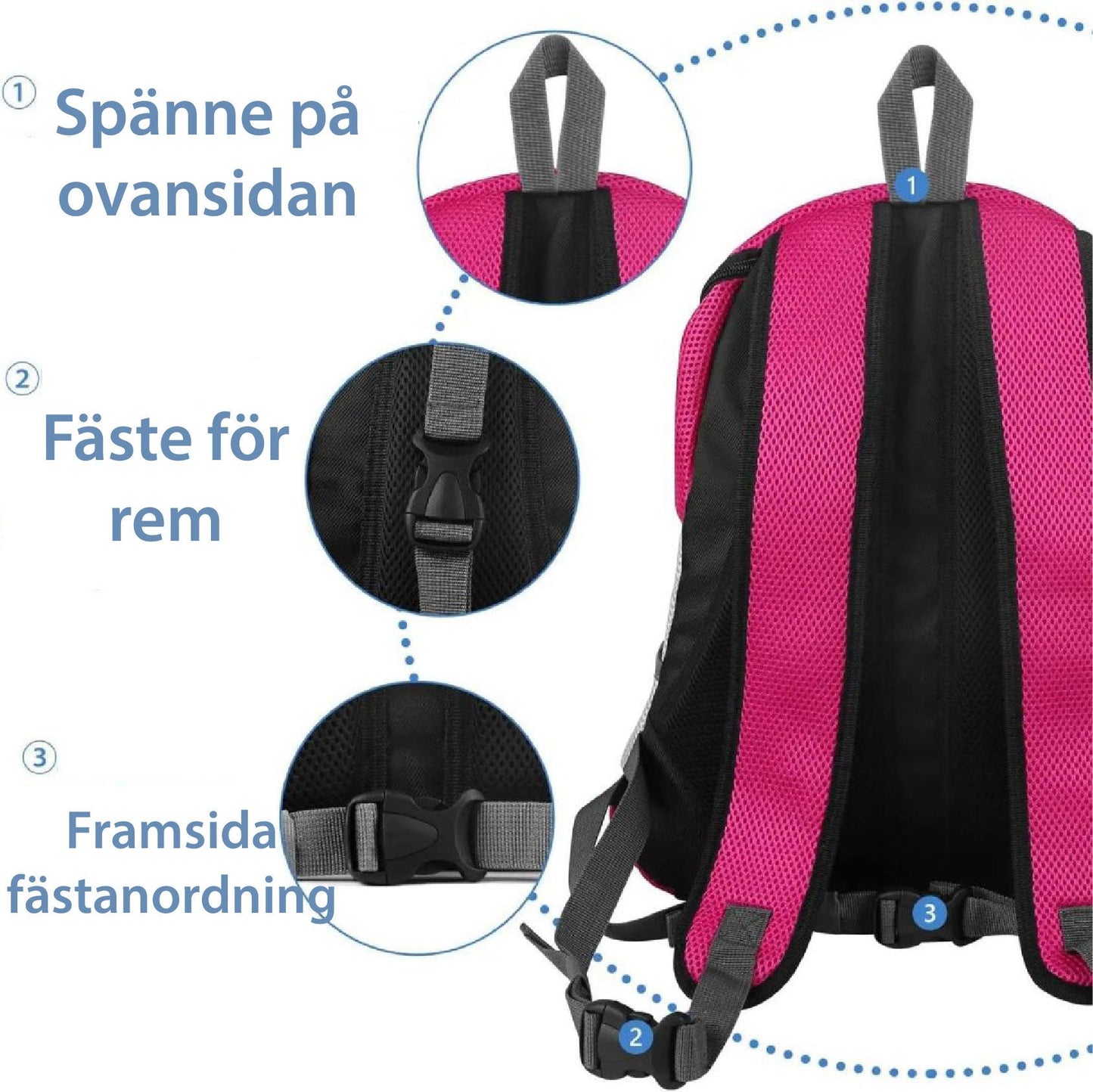 Karnz | PawCarry – Gemeinsam überall unterwegs
