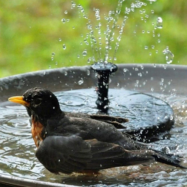 Sandsberg Solar Springbrunnen Pumpe