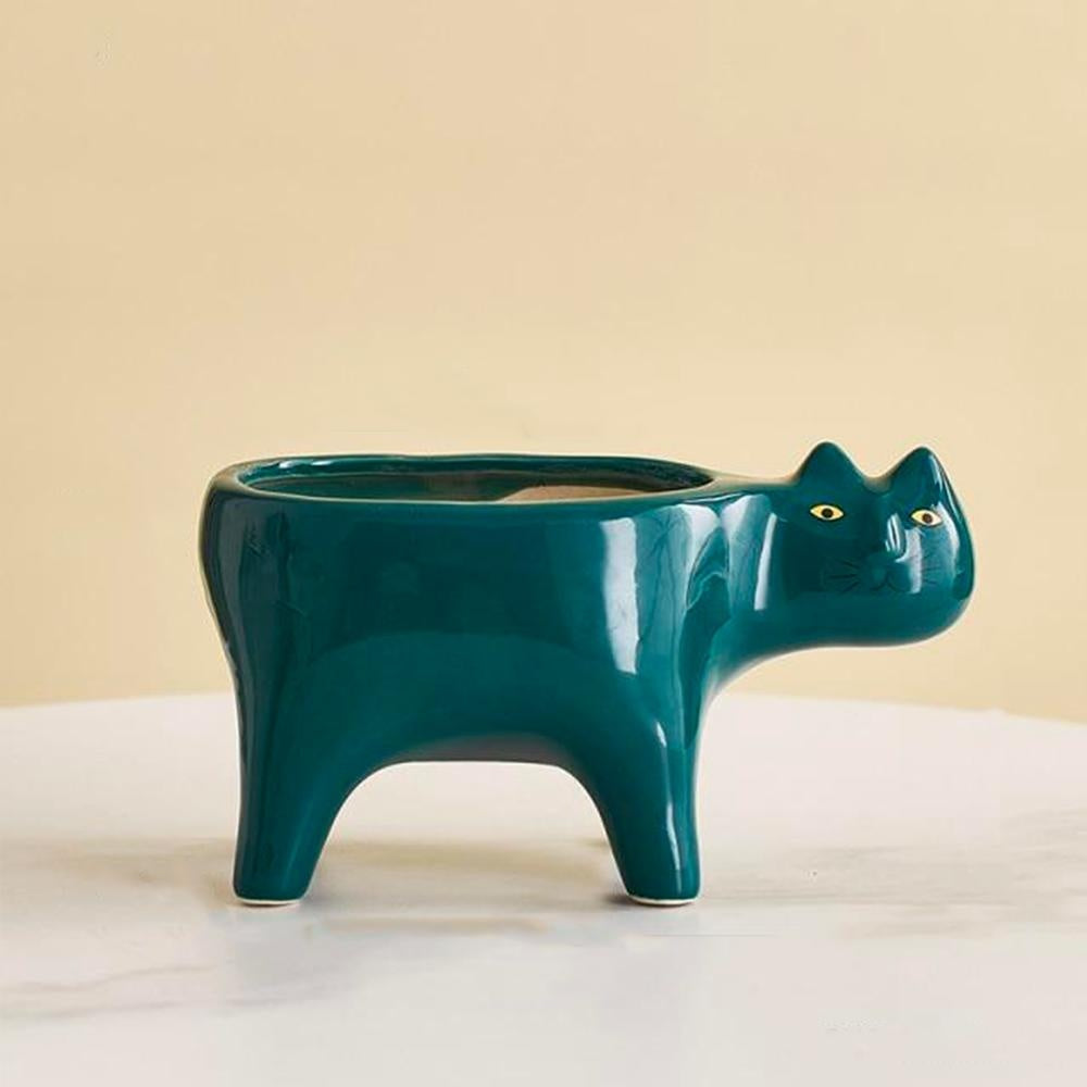 Kat Pot | Karnz