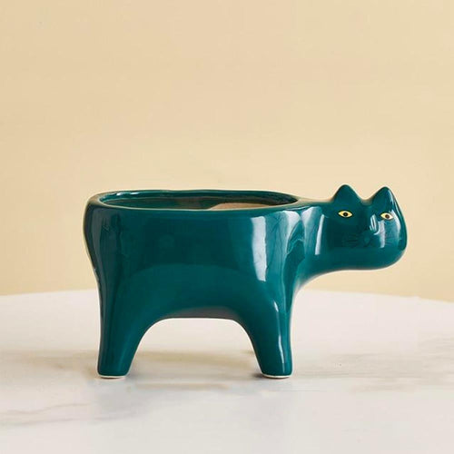 Kat Pot | Karnz