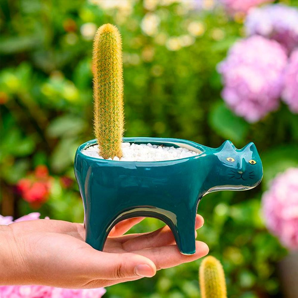 Kat Pot | Karnz