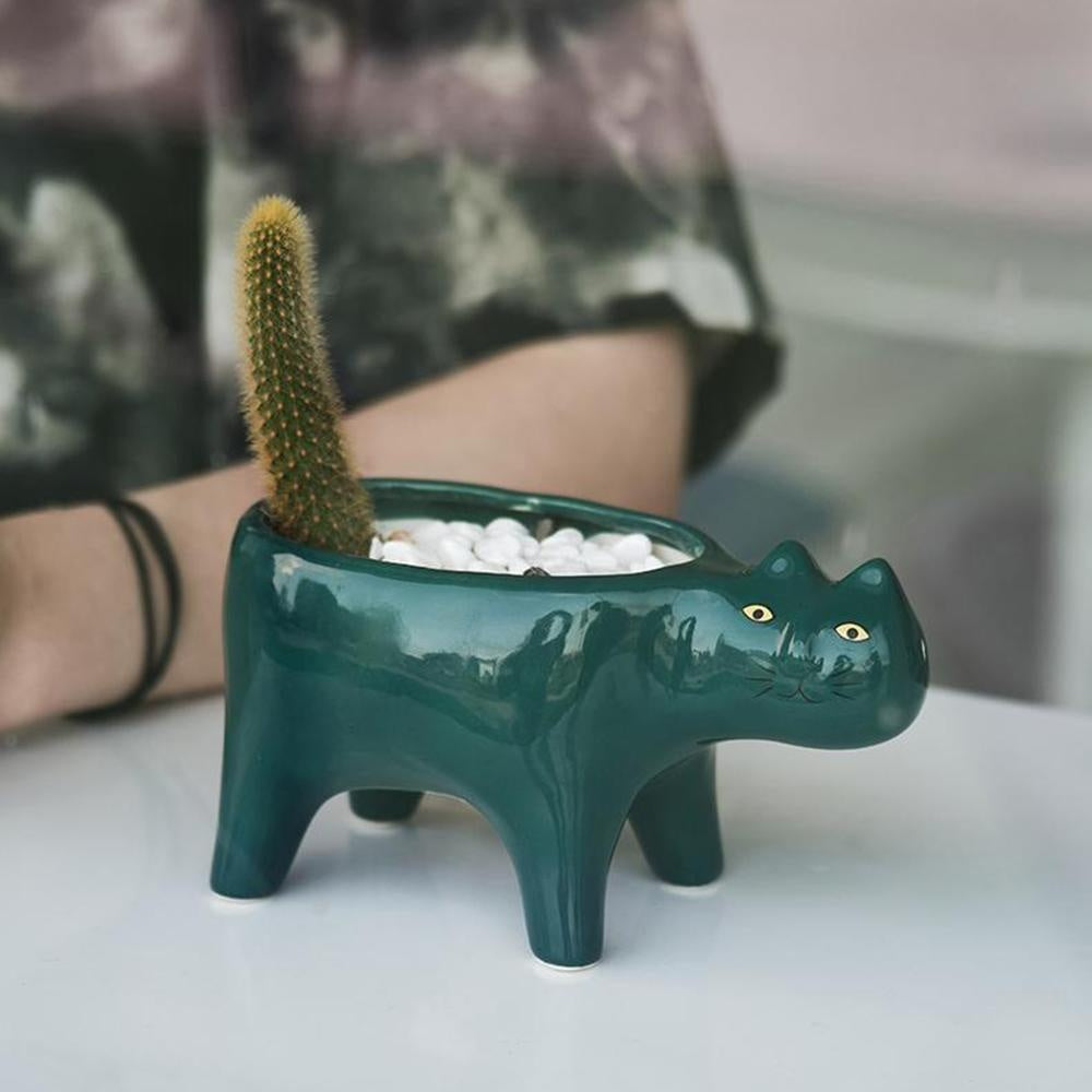 Kat Pot | Karnz