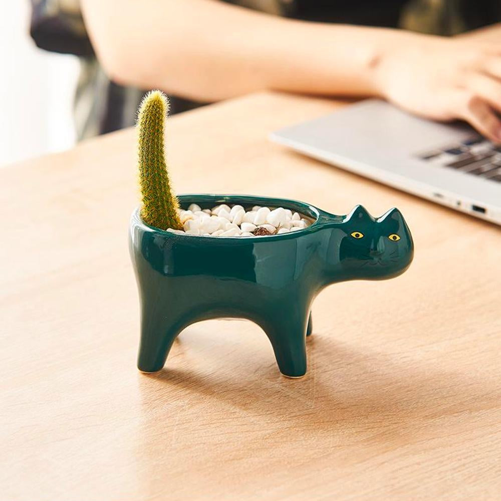 Kat Pot | Karnz