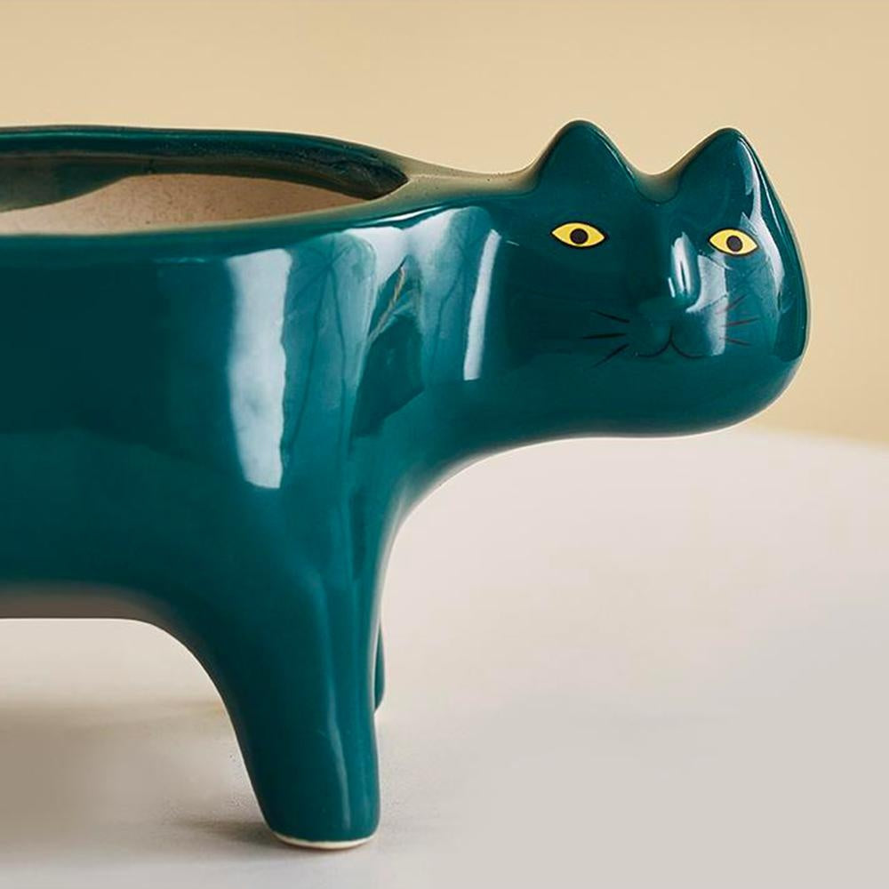 Kat Pot | Karnz