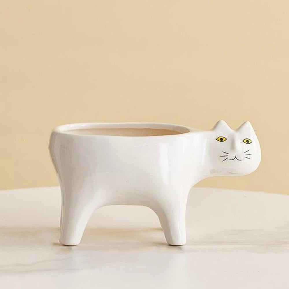 Kat Pot | Karnz