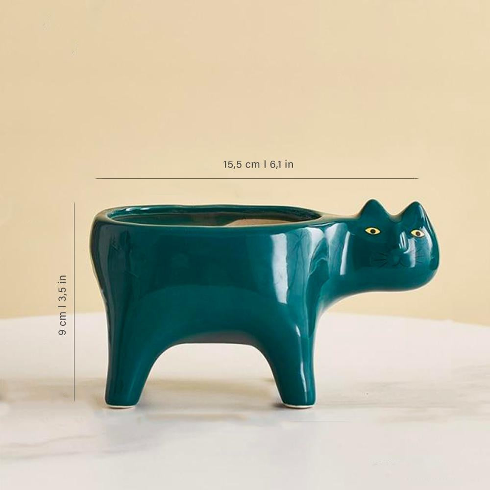 Kat Pot | Karnz