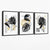 Abstraktes 3er-Set floraler Leinwandbilder in Schwarz und Gold