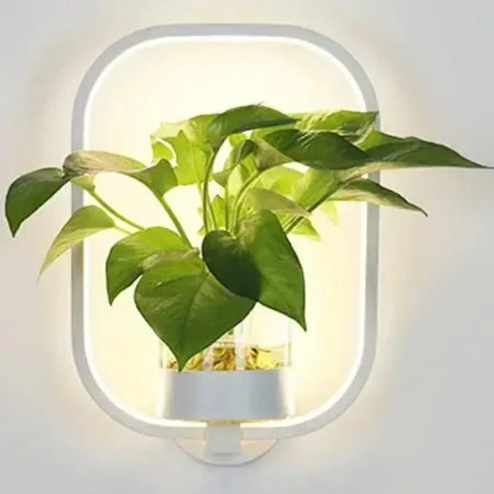 LED-Wandleuchte mit integriertem Pflanzen – Designer-Wandleuchten für Innenräume