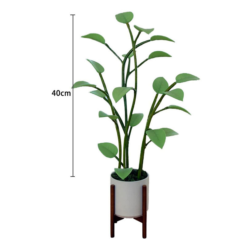 Leuchtende Blüte | Magische LED-Pflanze