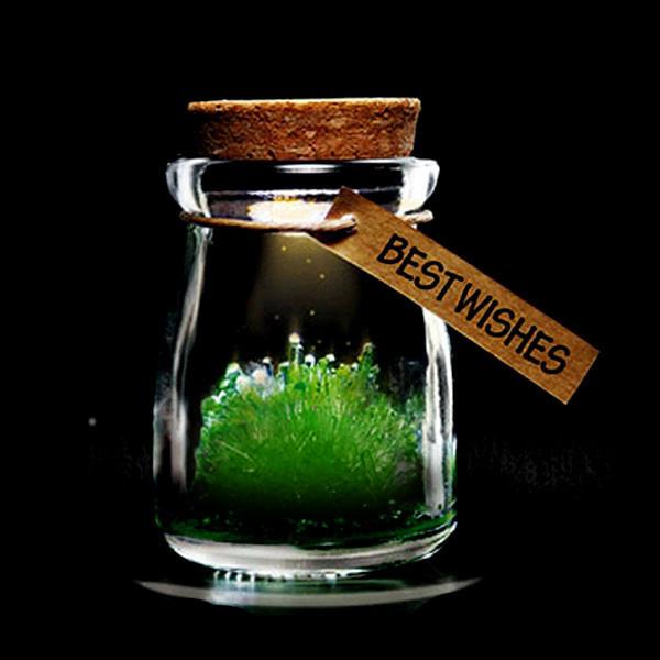 Magic Crystal Growing Jar Kit (Verschiedene Farben und Nachrichten) | Karnz