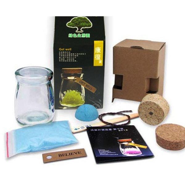 Magic Crystal Growing Jar Kit (Verschiedene Farben und Nachrichten) | Karnz