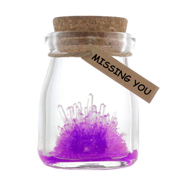Magic Crystal Growing Jar Kit (Verschiedene Farben und Nachrichten) | Karnz