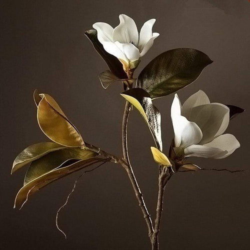 Magnolia Seidenblume | Karnz